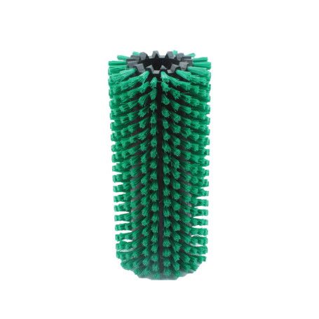 Brosse cylindrique pour fruits et légumes avec poils en pexcrine verte