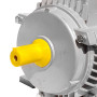 Moteur electrique triphase 1.5 kW 2 HP 2800 rpm B3 MEC 90 230 400v Seipee Electric Motors - 1