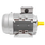Elektromotor Dreiphasig 1.5 kW 2 HP 2800 rpm B3 MEC 90 230 400v Seipee Electric Motors - 9