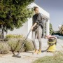 Aspiratore Karcher wd5 Bidone Aspiratutto solidi liquidi