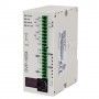 PLC DVP10SX11R Delta 24VDC 2AI / 2AO 4DI / 2DO relè