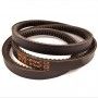 Correa En V CX 79 Vbelt 22x14x2000 dentada  Pix - 1