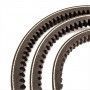 Cinghia trapezoidale AVX10 900 (10X8x900)mm Dentellata (Settore auto) Pix
