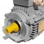 Elektromotor Dreiphasig 0.37 kW 0.50 HP 1400 rpm B14 MEC 71 230 400v Seipee Electric Motors - 3