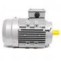 Electric motor Three phase 0.37 kW  0.50 HP 1400 rpm B14 MEC 71 230 400v Seipee Electric Motors - 7