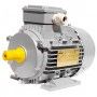 Electric motor Three-phase 0.37 kW 0.50 HP 900 rpm B3 MEC 80 230 400v Seipee Electric Motors - 1