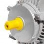Motor electrico Trifasico 0.37 kW 0.50 HP 900 rpm B3 MEC 80 230 400v Seipee Electric Motors - 2