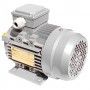 Motore elettrico Trifase 0.37 kW 0.50 HP 900 giri B3 MEC 80 230 400v Seipee Electric Motors - 6
