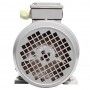 Motore elettrico Trifase 0.37 kW 0.50 HP 900 giri B3 MEC 80 230 400v Seipee Electric Motors - 7