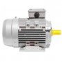 Electric motor Three-phase 0.37 kW 0.50 HP 900 rpm B3 MEC 80 230 400v Seipee Electric Motors - 9