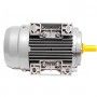 Motore elettrico Trifase 0.37 kW 0.50 HP 900 giri B3 MEC 80 230 400v Seipee Electric Motors - 11