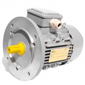 Moteur electrique triphase 0.55 kW 0.75 HP 1400 rpm B5 MEC 80 230 400v Seipee Electric Motors - 1