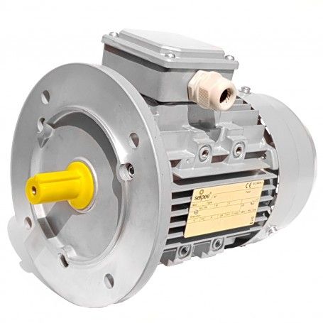 Moteur electrique triphase 2.2 kW 3 HP 1400 rpm B5 MEC 100 230 400v Seipee Electric Motors - 1
