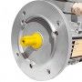 Motore elettrico Trifase 2.2 kW 3 HP 1400 giri B5 MEC 100 230 400v Seipee Electric Motors - 2