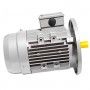 Motore elettrico Trifase 2.2 kW 3 HP 1400 giri B5 MEC 100 230 400v Seipee Electric Motors - 8