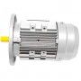 Elektromotor Dreiphasig 2.2 kW 3 HP 1400 rpm B5 MEC 100 230 400v Seipee Electric Motors - 11
