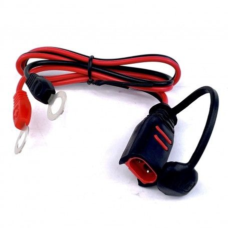 Connettore ad occhielli M8 batteria Per Telwin T-Charge 12 20 26 Telwin - 1